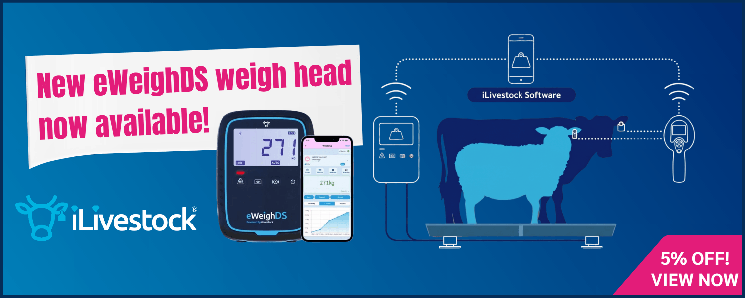 iLivestock Cattle Weighing System