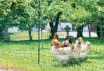 Rutland Poultry Net