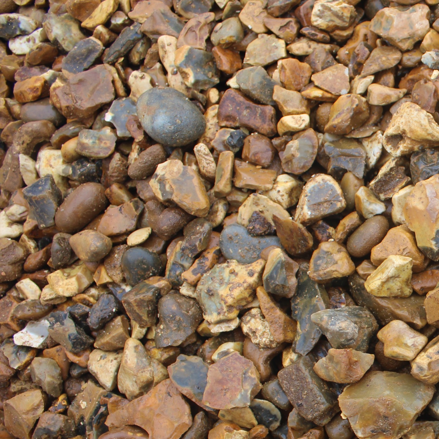 20mm Golden Gravel Golden Gravel