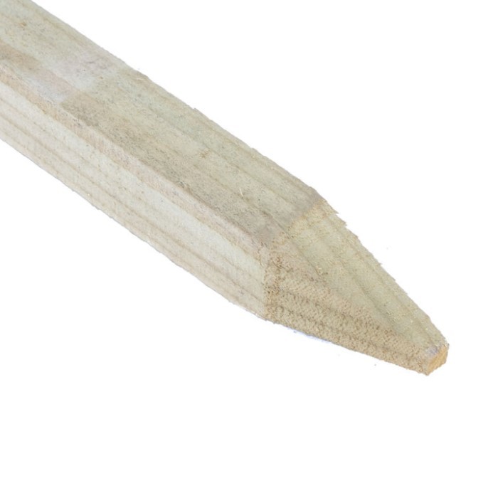 Stake Casino bónuszok