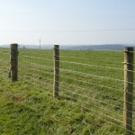 High Tensile Plain Wire on a fence