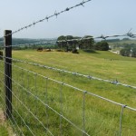 Rylock fence shown with three barb wires
