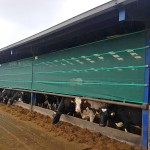 Galebreaker bayscreen protecting a cow shed