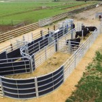 Galvanised metal cattle hurdles shown set up