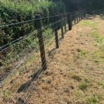 Creosoted stobs / posts shown in a fence line