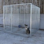 This dog pen front panel and gate has 75mm spacings between bars, Shown here fully built with side panels attached.