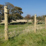 Electric fencing with insulators