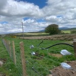 Electric fence shown with end insulators and normal insulators