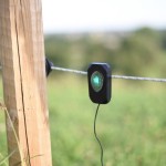 Rutland pulse flash shown on an electric fence