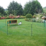 Rutland rabbit netting shown in a garden