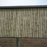Yorkshire boarding shown on the side of a shed