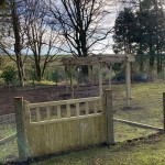 Wooden square fencing posts shown in a garden fence