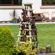 Zest Scafell Obelisk wooden trellis support