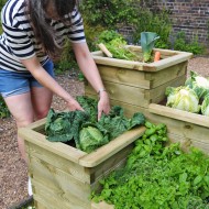 Zest raised bed garden being used