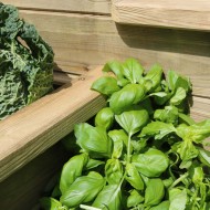 Close up view of the Zest 4 tier raised bed