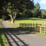 Wooden fence posts shown in a post and rail fence