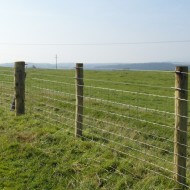 Stock fence shown in a field with two electric wires attached