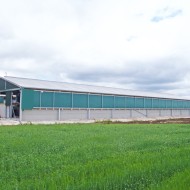 Galebreaker bayscreen attached full length to a shed