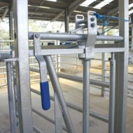 View of the front of a calving hurdle