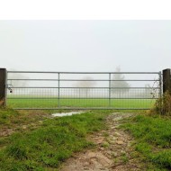 Half mesh galvanised gate shown in a field