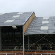 Briarwood crank crown ridges shown on a far roof