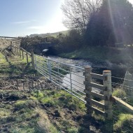 Metal field gates shown in a field