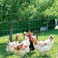 Rutland non-electrifiable poultry netting, shown in a field