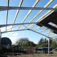C16 175mm x 75mm timbers shown on a shed roof