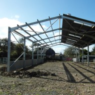 C16 purlins shown on a shed