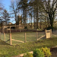 Square wooden fence posts shown in a garden fence