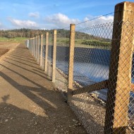 Wooden square posts shown on a fence