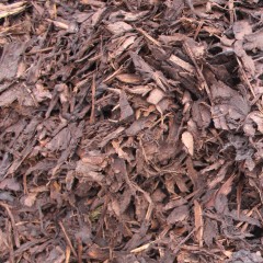 Bark chippings 