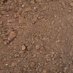 Top Soil