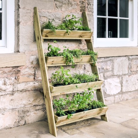 Zest ladder herb planter