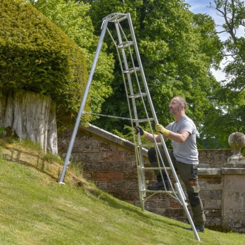 Hendons Three leg adjustable ladder for cutting hedges