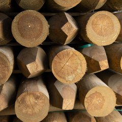 UC4, Kiln Dried Imported Pine Posts  - Pointed