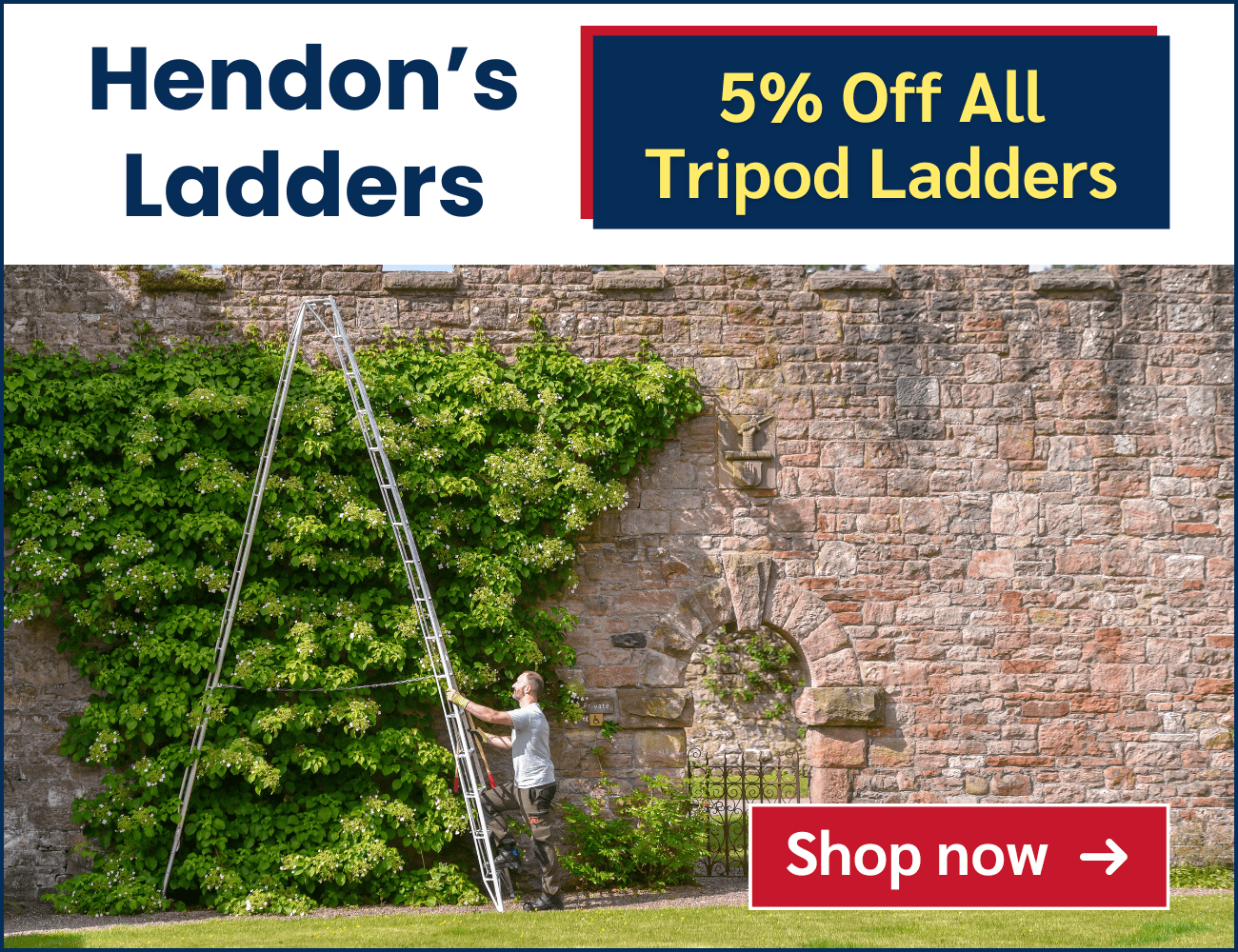 Hendon's Ladders Hendon's Ladders