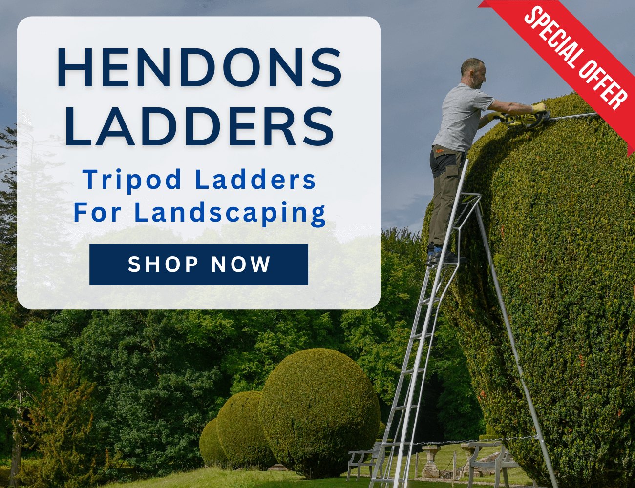 Hendons Ladders - 5% off