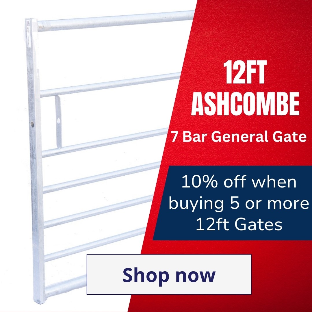 12ft Ashcombe gate