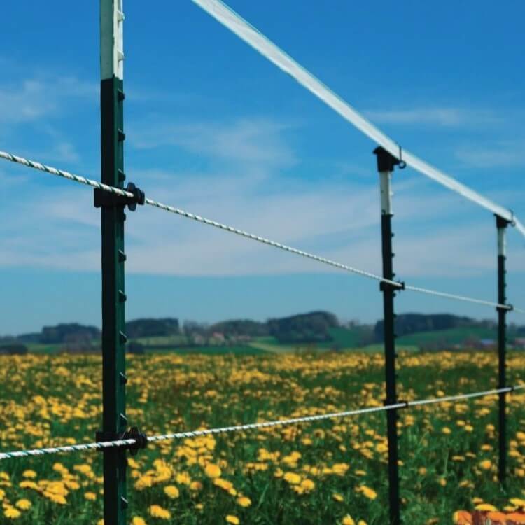 Electric Fencing