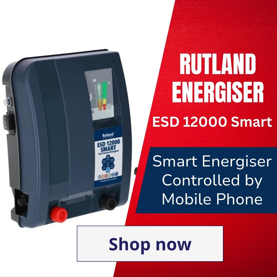 Rutland Smart Energiser